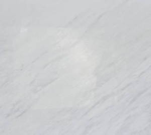 雪白銀狐